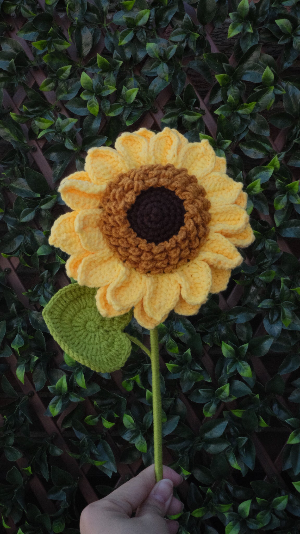 Grand Sunflower