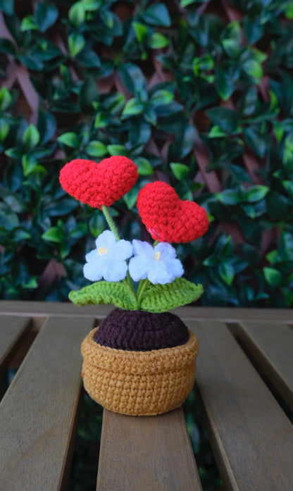 Table Pot