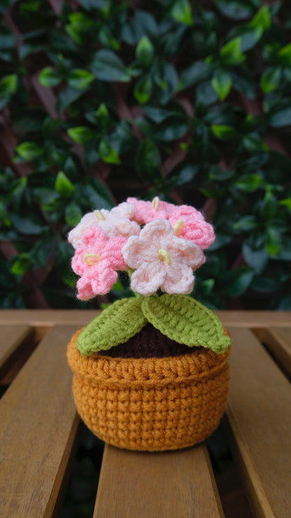 Table Pot
