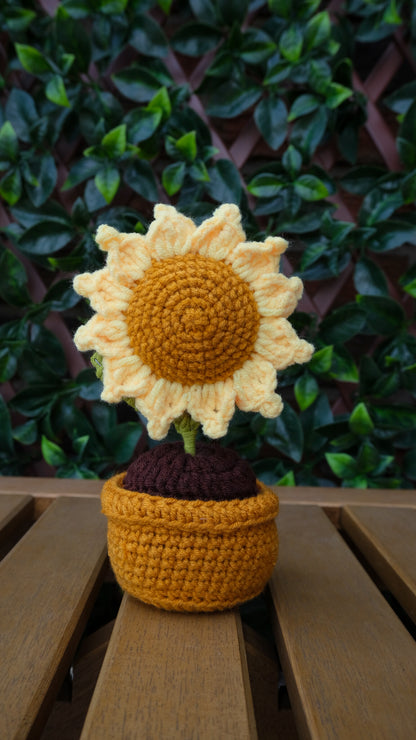 Table Pot