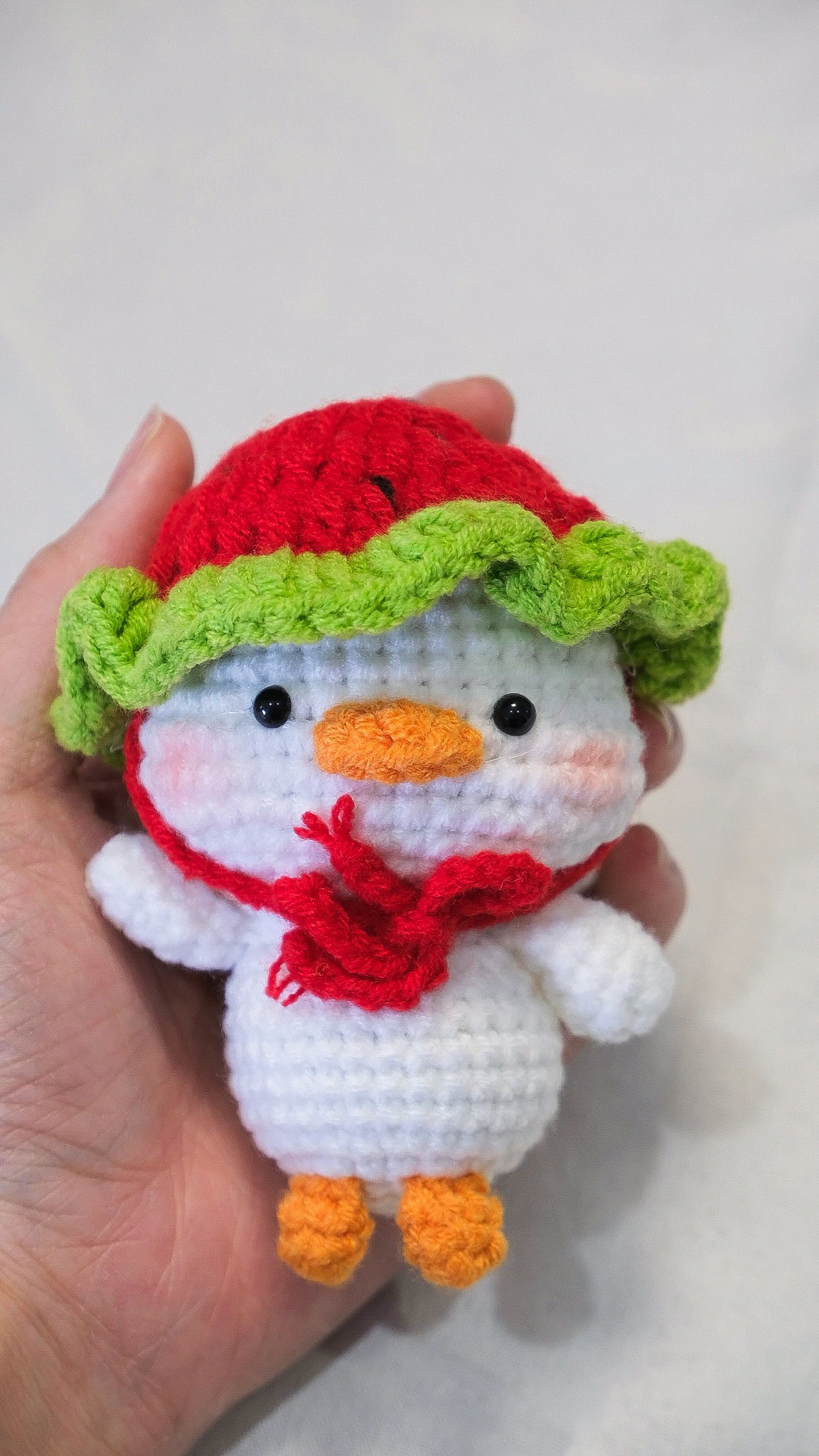 Hat Duck