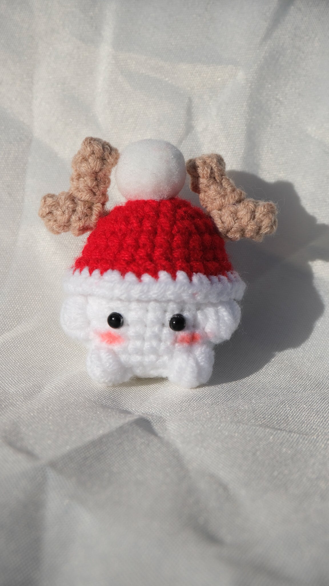 Christmas Mushroom
