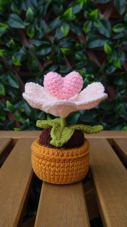 Table Pot