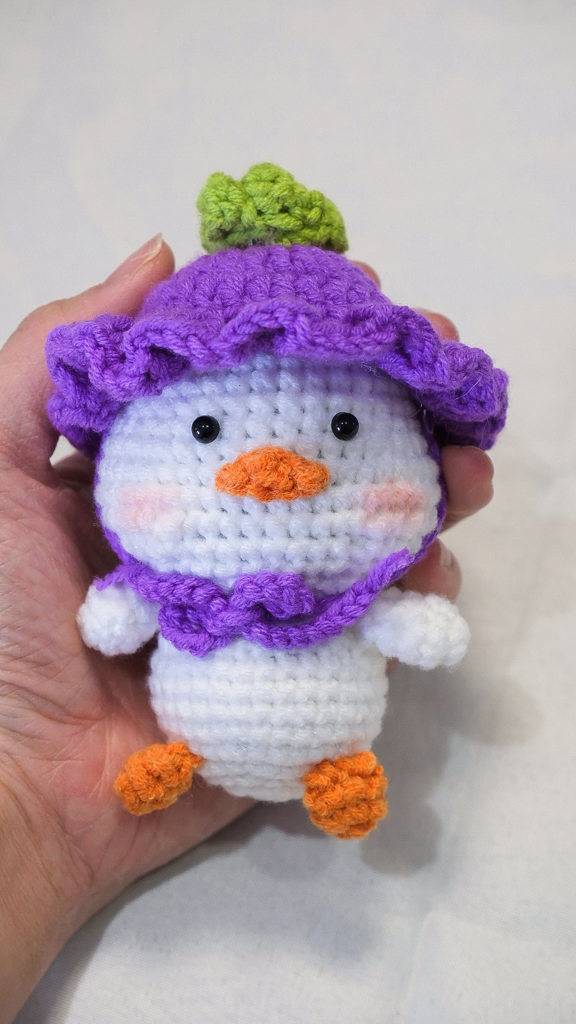 Hat Duck