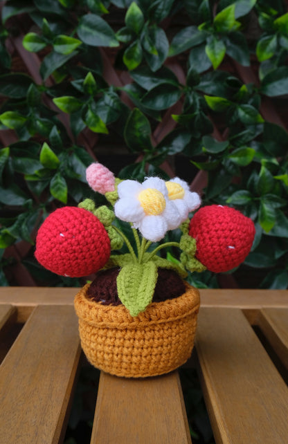 Table Pot