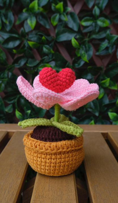 Table Pot