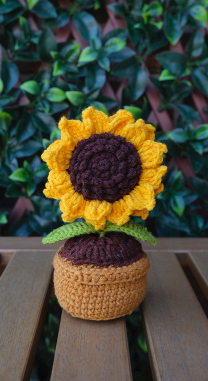 Table Pot