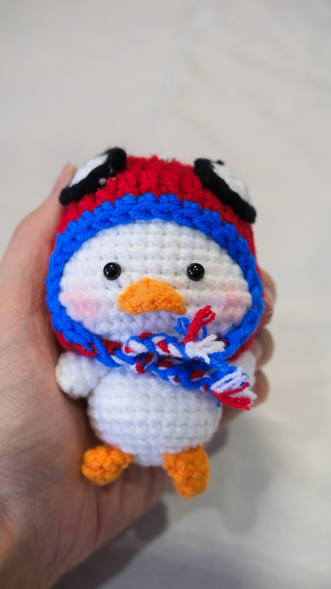 Hat Duck