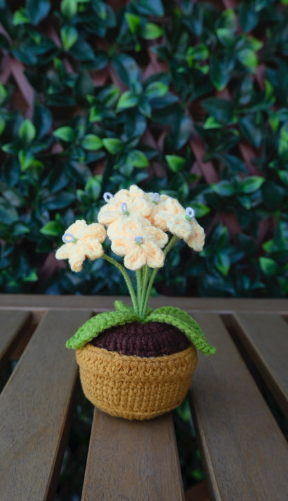 Table Pot