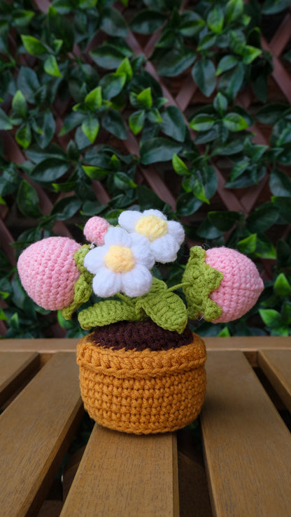 Table Pot