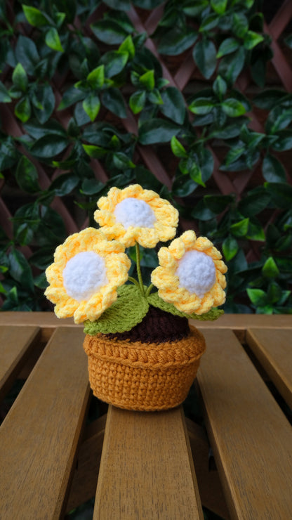 Table Pot