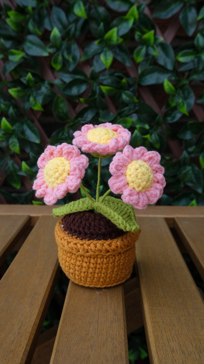 Table Pot